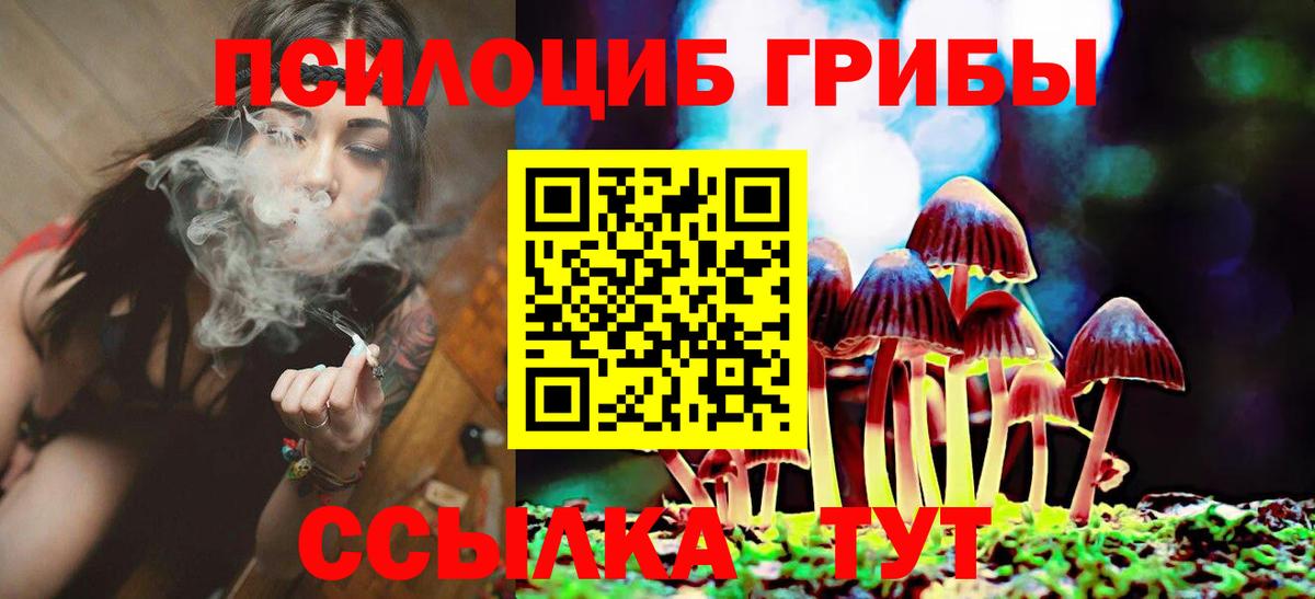 Галлюциногенные грибы GOLDEN TEACHER Балашов