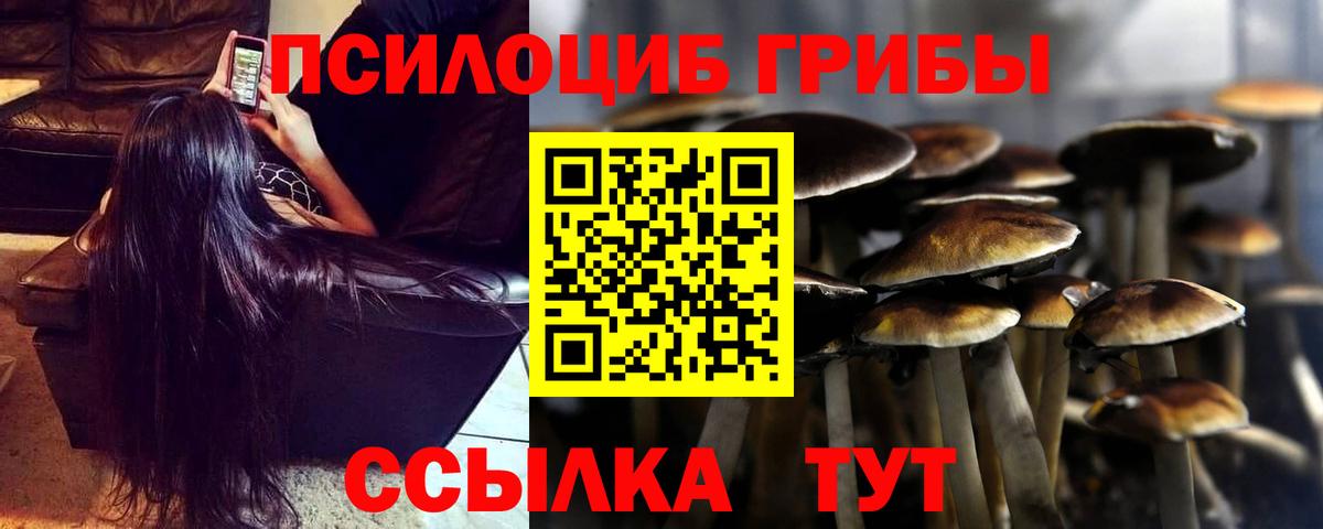 где можно купить   Галлюциногенные грибы Psilocybe  Балашов  Вход с VPN  Галлюциногенные грибы MAGIC MUSHROOMS 