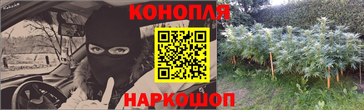 Конопля Bruce Banner  Каннабис марихуана  Вход с VPN  Балашов  Марихуана сатива 